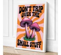 Don't Trip Over The Small Canvas Wall Art Print 18x12 Inch (46 x 30 cm)