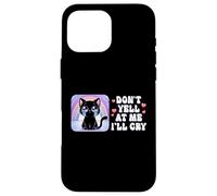 Don't Yell at Me I'll Cry Cute Cat with Rainbow Case for iPhone 16 Pro Max