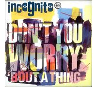 DON'T YOU WORRY 'BOUT A THING 7 INCH (7" VINYL 45) UK TALKIN LOUD 1992