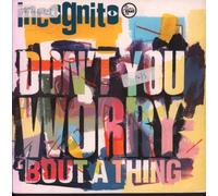 Don't You Worry 'bout A Thing [VINYL]