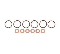 Doo Engy Gasket Set Injector Sealing Ring Injector Copper Disc Injector Seal for 3 Series E46 330d 330xd 5 Series E39 530d 7 Series E38 730d X5 E53 3.0 d