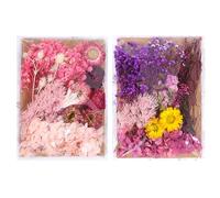 DOOCECIY 2 Pcs Dried Pressed Flowers, Mini Dried Flowers for Candle Wreath Resin Making