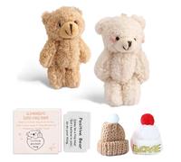 DOOCECIY 2 PCS Pocket Bear Hug Set, Mini Bear Gifts for Decoration and Comfort