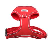 Doodlebone - Adjustable Airmesh Harness - Over Head Dog Harness with Adjustable Neck and Chest, Dual D Rings, Breathable Mesh and Reflective Trim for Everyday Walkies - Size 4-7 - Ruby