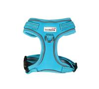 Doodlebone - Adjustable Airmesh Harness - Over Head Dog Harness with Adjustable Neck and Chest, Dual D Rings, Breathable Mesh and Reflective Trim for Everyday Walkies - Size 1-2 - Aqua