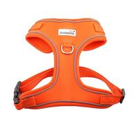 Doodlebone - Adjustable Airmesh Harness - Over Head Dog Harness with Adjustable Neck and Chest, Dual D Rings, Breathable Mesh and Reflective Trim for Everyday Walkies - Size 4-7 - Tangerine