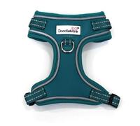Doodlebone - Adjustable Airmesh Harness - Over Head Dog Harness with Adjustable Neck and Chest, Dual D Rings, Breathable Mesh and Reflective Trim for Everyday Walkies - Size 4-7 - Teal