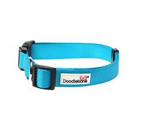 Doodlebone - Dog Collar - Adjustable Strong Collar with Secure D Ring, Strength Tested Components & Machine Washable Design for Everyday Walkies - Size 3-6, 30-50cm - Aqua