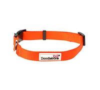 Doodlebone - Dog Collar - Adjustable Strong Collar with Secure D Ring, Strength Tested Components & Machine Washable Design for Everyday Walkies - Size 6-11, 50-70cm - Tangerine