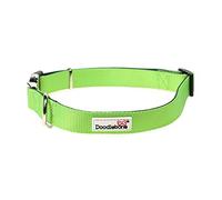 Doodlebone - Padded Dog Collar - Adjustable Breathable Comfort Collar with Reflective Stitching, Strong D Ring & Durable Metal Buckle for Daily Walks - Size 6-11 50-70cm - Apple