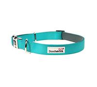 Doodlebone - Padded Dog Collar - Adjustable Breathable Comfort Collar with Reflective Stitching, Strong D Ring & Durable Metal Buckle for Daily Walks - Size 1-2 22-30cm - Peacock