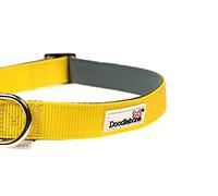 Doodlebone Padded Collar, Sunshine, 1-2
