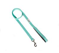 Doodlebone Padded Lead, Mint, 20mm