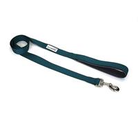 Doodlebone Padded Lead, Teal, 20mm