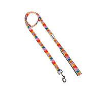 Doodlebone Padded Lead, Watercolour, 20mm