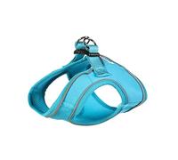 Doodlebone Snappy Harness, Aqua, 5