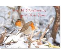 doodlecards 1st First Christmas in New Home Christmas Card Two Robins in Tree Medium Size Christmas Card for 1st in New Home with Plain Envelope