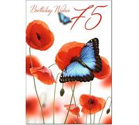 doodlecards 75th 75th Birthday Card Age 75 Butterfly and Poppies Medium Size with Plain Envelope