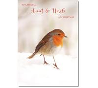 doodlecards Aunt and Uncle Christmas Card Robin on Snow Medium Size Christmas Card for Aunt & Uncle with Plain Envelope