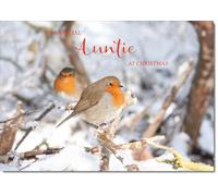 doodlecards Auntie Christmas Card Two Robins in Tree Medium Size Christmas Card for Auntie with Plain Envelope