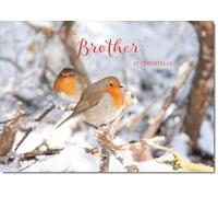 doodlecards Brother Christmas Card Two Robins in Tree Large A4 Size Christmas Card for Brother with Plain Envelope