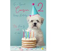 doodlecards Cousin Female 2nd Birthday Card Age 2 Birthday Dog
