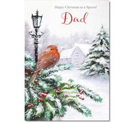 doodlecards Dad Christmas Card Robin by Lamp Medium Size with Plain Red Envelope,21 x 15cm