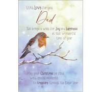 doodlecards Dad Christmas Card Watercolour Robin In The Frost Medium Size Christmas Card for Dad with Plain Envelope