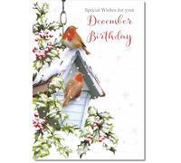 doodlecards December Birthday Christmas Card Two Robins in Snow Medium Size with Plain Red Envelope, 21 x 15cm
