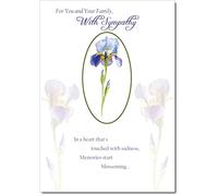 doodlecards From All The Family Sympathy Condolence Bereavement Card Iris Bloom