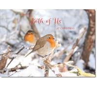 doodlecards From Both Of Us Christmas Card Two Robins in Tree Medium Size Christmas Card for From Both Of Us with Plain Envelope