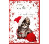 doodlecards From The Cat Christmas Card Cute Santa Paws Kitten Cat Pet Medium Size Christmas Card for From The Cat with Plain Envelope