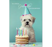doodlecards Godmother Birthday Card Medium Size with Plain Envelope