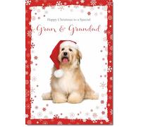 doodlecards Gran and Grandad Christmas Card Dog with Santa Hat Medium Size Christmas Card for Gran & Grandad with Plain Envelope