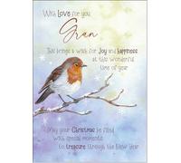 doodlecards Gran Christmas Card Watercolour Robin In The Frost Medium Size Christmas Card for Gran with Plain Envelope