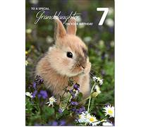 doodlecards Granddaughter 7th Birthday Card Medium Size with Plain Envelope