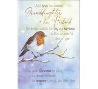 doodlecards Granddaughter and Husband Christmas Card Watercolour Robin In The Frost Medium Size Christmas Card for Granddaughter & Husband with Plain Envelope