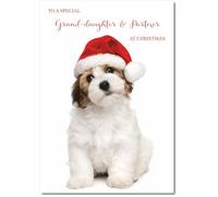 doodlecards Granddaughter & Partner Christmas Card Medium Size with Plain Envelope
