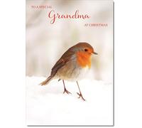 doodlecards Grandma Christmas Card Robin in Snow Medium Size with Plain Envelope