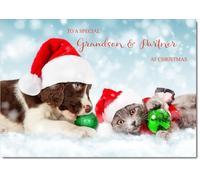 doodlecards Grandson and Partner Christmas Card Puppy and Kitten with Santa Hats Medium Size Christmas Card for Grandson & Partner with Plain Envelope