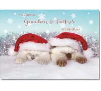 doodlecards Grandson and Partner Christmas Card Two Cats with Santa Hats Medium Size Christmas Card for Grandson & Partner with Plain Envelope