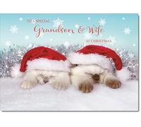 doodlecards Grandson and Wife Christmas Card Two Cats with Santa Hats Medium Size Christmas Card for Grandson & Wife with Plain Envelope