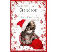 doodlecards Grandson Christmas Card Cute Santa Paws Kitten Cat Pet Medium Size with Plain Envelope