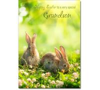 doodlecards Grandson Easter Card Two Bunnies on Grass Medium Size with Plain Envelope