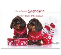 doodlecards Grandsons 1st First Christmas Card Two Dogs with Christmas Jumpers Medium Size Christmas Card for Grandsons 1st with Plain Envelope