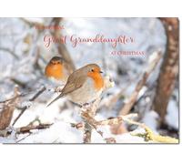 doodlecards Great Granddaughter Christmas Card Two Robins in Tree Medium Size Christmas Card for Great Granddaughter with Plain Envelope