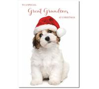 doodlecards Great Grandson Christmas Card Dog and Santa Hat Medium Size Christmas Card for Great Grandson with Plain Envelope