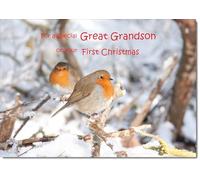 doodlecards Great Grandsons 1st First Christmas Card Two Robins in Tree Medium Size Christmas Card for Great Grandsons 1st with Plain Envelope