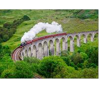 doodlecards Male Steam train on Bridge Birthday Card Medium Size with Plain Envelope