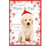 doodlecards Mum and Dad Christmas Card Cute Santa Paws Puppy Dog Pet Medium Size Christmas Card for Mum & Dad with Plain Envelope